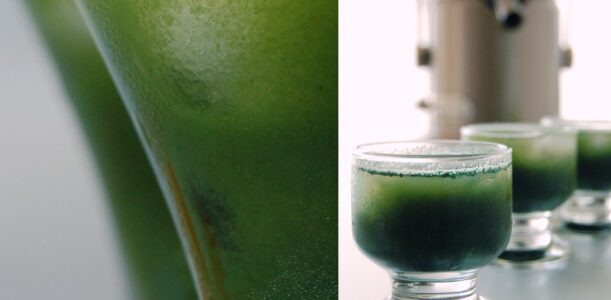 The Global Girl Juicing Q&A: Juicer Reviews and Recommendation for a successful juice fast. Why the Hurom and Breville are Ndoema's favorite juicers.